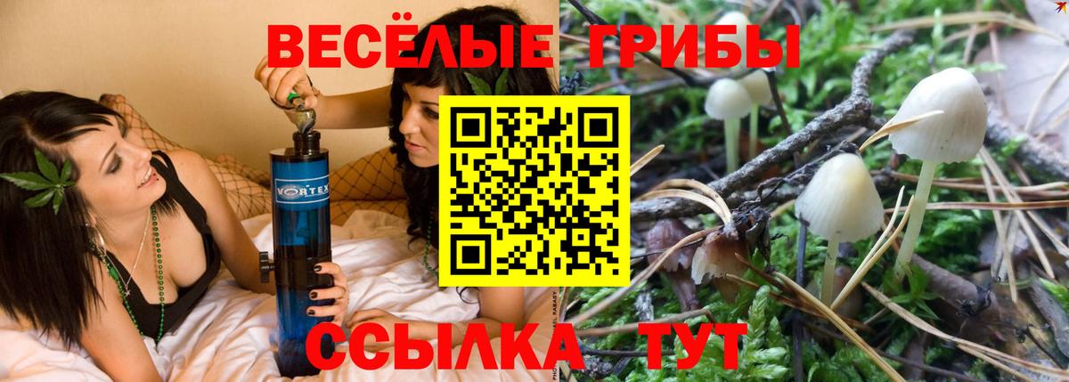 Галлюциногенные грибы прущие грибы  Вход с VPN  Псилоцибиновые грибы мухоморы  как найти наркотики  Фурманов 